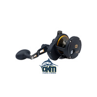 Penn Fathom 30 Lever Drag 2 Speed Reel
