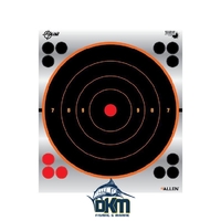 Allen EZ Aim Reflective Bullseye Target 5.8"