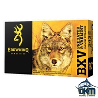Browning BXV .243 Win 65gr VE (20)