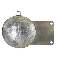 Pancake Weight 10lb