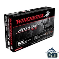 Winchester Supreme .300WM 180gr ABCT (20)