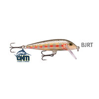 RAPALA COUNTDOWN SINKING CD-3 BJRT